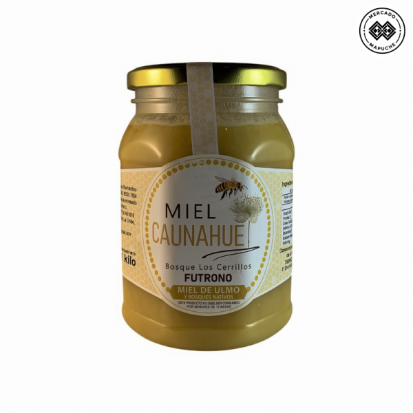 Miel de Ulmo 1kg Miel Caunahue