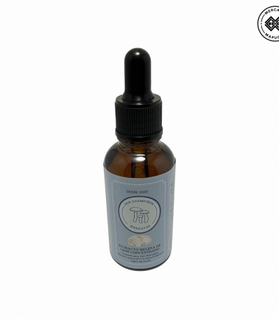 Extracto de Hongo Melena de Leon Concentrado 80ml Don Champiñon